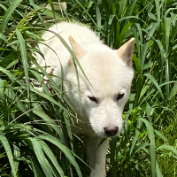 たかちゃん