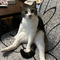 飯塚雅一